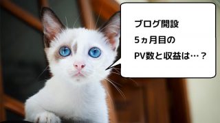 ブログ初心者の、ブログ運営開始から5ヵ月目のPV数とアフィリエイト収益のまとめ