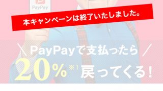 PayPayの「100億円あげちゃうキャンペーン」が終了。ビックカメラでPayPay払いでの合計還元額を公開。