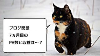 ブログ初心者の、ブログ運営開始から7ヵ月目のPV数とアフィリエイト収益のまとめ