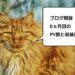 【ブログ運営6ヵ月目】11月のPV数と収益まとめ