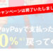 PayPayの100億円あげちゃうキャンペーンが終了！私のPayPay利用での還元額を公開