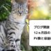 【ブログ運営12ヵ月目】2019年5月のPV数と収益まとめ