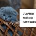 【ブログ運営1ヵ月目】6月のPV数と収益まとめ