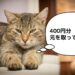 Amazonのプライム会員は得なのか？元を取る方法